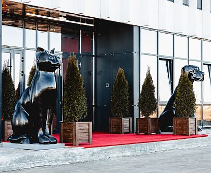 «Петэксперт» открыл завод по производству кормов для собак и кошек в Липецкой области