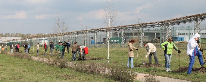 Субботник по посадке деревьев состоялся в ОЭЗ «Липецк»
