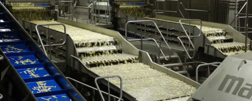 Деятельность завода «Лэм Уэстон Белая Дача» способствует повышению урожайности картофеля в регионах
