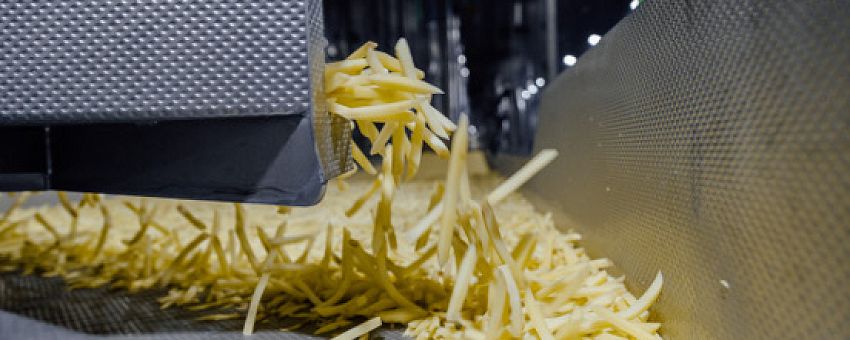 Липецкий картофель фри вытесняет импортный с российского рынка