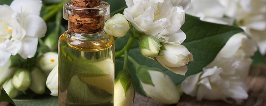 В Липецкой области появится ароматное производство.