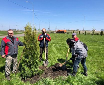На Елецкой площадке ОЭЗ «Липецк» продолжается озеленение территории